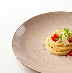 Boss 6630T BRĄZOWY - Lubiana