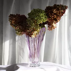 Plantica Amethyst