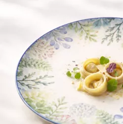 Daisy 9144 Watercolor - Lubiana