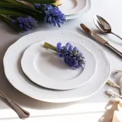 Porcelana gastronomiczna