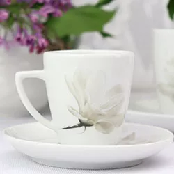 Magnolia 6474 - Lubiana