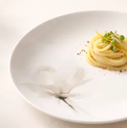 Magnolia 6474 - Lubiana