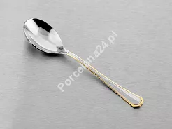 Komplet 6 łyżeczek do kawy / herbaty 13,3 cm Pintinox 1929 - America (2.5 mm) złocony GIFT BOX
