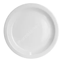 Talerz płytki 24 cm Lubiana - Ameryka (nr 0134)