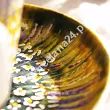 Filiżanka ze spodkiem 0,35 L / 17 cm ręcznie malowana - Łąka ciemnozielona (11) DA.FS35-11