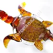 Figurka szklana 28 cm - Żółw z meduzą amber 4S.FIG.44002