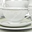 Garnitur do herbaty na 6 osób (23el) Ćmielów - Astra B601 MARZENIE PLATYNOWE