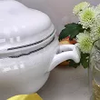 Serwis obiadowy na 12 osób (42el) Waza - Alba Luiza WA-139 (WYPRZEDAŻ W845)
