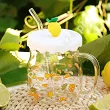Kubek szklany z silikonową pokrywką i szklaną słomką 600 ml Altom Design - Cytryna 07.K.3516