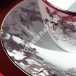 Filiżanka ze spodkiem 0,26 L / 17 cm Porcel - Belle Epoque Platin 10.BEP.FS26