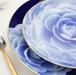 Serwis obiadowy na 12 osób (43el.) Porcel - Royal Bloom
