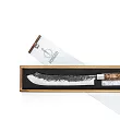 Nóż rzeźniczy 25,5 cm Forged - VG10