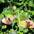 Kpl. kieliszków do wody 480 ml (6 szt) Krosno - Venezia (Lifestyle) 5413
