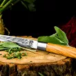 Nóż uniwersalny 12,5 cm Forged - Olive