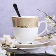 Garnitur do herbaty na 6 osób (21el) Bogucice - Opal gold 1005