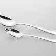 Komplet sztućców 24 cz. na 6 osób PINTINOX - Valencia (2.0 mm) - pudełko Irid 23.0350.92Q1.K24