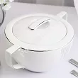 Waza 2,5 L Chodzież - City AP03 Sonata Platynowa