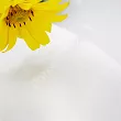 Talerz głęboki 22 cm Bogucice - Alumina Zina White 971