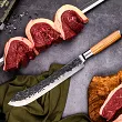 Nóż rzeźniczy 25,5 cm Forged - Olive