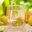 Kpl. 2 szklanek termicznych 300 ml Altom Design - Andrea Różowe 07.AND.8152