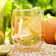 Kpl. 2 szklanek termicznych 300 ml Altom Design - Andrea Różowe 07.AND.8152