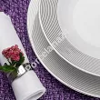 Serwis obiadowo - kawowy na 12 osób (85 el) Chodzież - Yvonne E520 LINEA PLATYNOWA