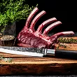 Nóż do mięsa 20,5 cm Forged - Sebra