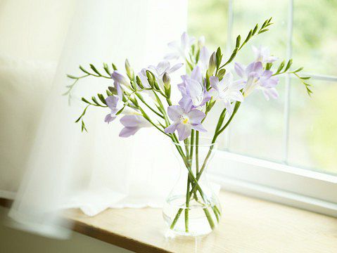 Modne szklane wazony na kwiaty - przegląd